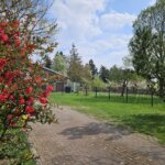 Einfahrt FeWo