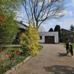 Einfahrt und Gartenbereich FeWo
